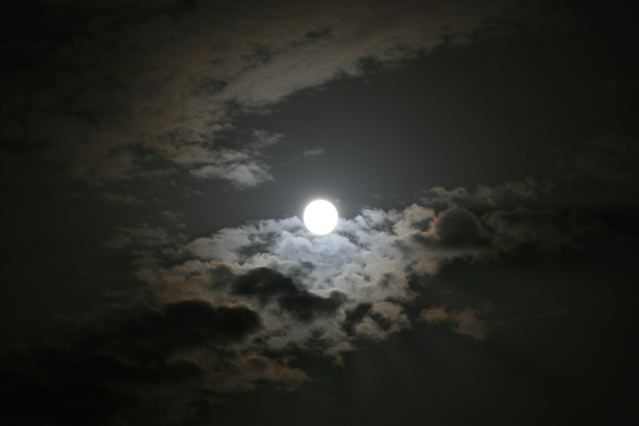 Meditación plenilunio julio (Leo) y agosto (Virgo)