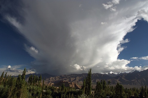 Pensamiento simiente 29 septiembre 2010: poner orden en nuestra vida