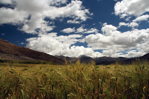 Pensamiento simiente 30 septiembre: desprender el principio divino