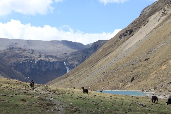 Pensamiento simiente 9 septiembre 2010: vibraciones ponzoñosas