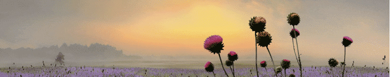 Escritos por un mundo mejor: «Ni un paso atrás» (Koldo Aldai)