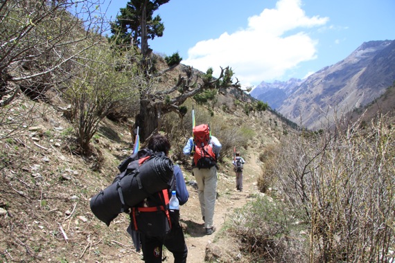 Pensamiento simiente 6 septiembre 2010: la fuerza