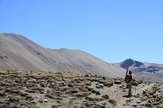 Pensamiento simiente 8 septiembre 2010: despertando