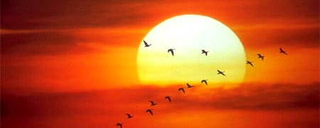 Escritos por un mundo mejor: «Yo si les creo» (Koldo Aldai)