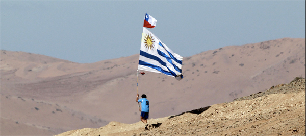 Escritos por un mundo mejor: «Chanchitos para todos» (Koldo Aldai)