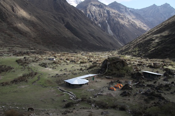 Pensamiento simiente 21 octubre 2010: luces y sombras