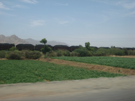 Pensamiento simiente 13 octubre 2010: escribir el libro