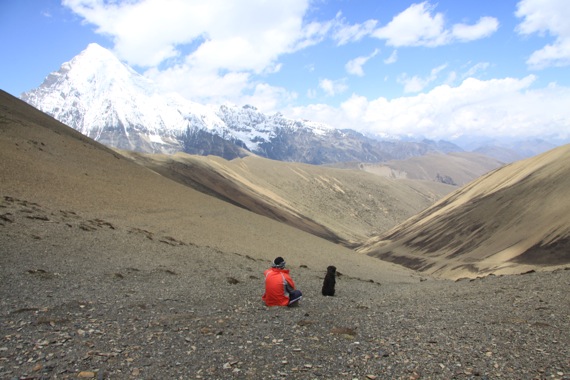 Pensamiento simiente 26 octubre 2010: unidad humana