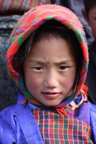 Pensamiento simiente 3 noviembre 2010: no huyáis de la vida