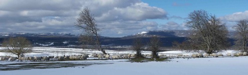 Escritos por un mundo mejor: Aquellos relatos blancos (Koldo Aldai)
