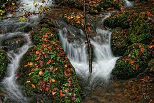 Pensamiento simiente 3 febrero 2011: plenos de energía