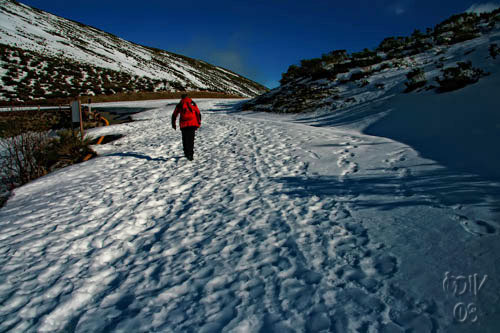 Pensamiento simiente 2 febrero 2011: nos convocan