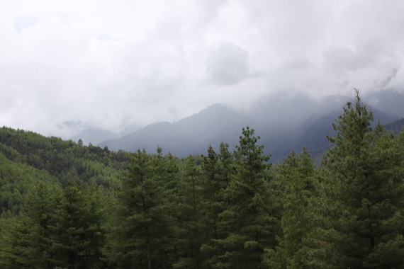 Pensamiento simiente 23 mayo 2011: gracias