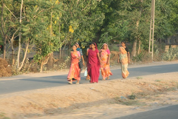 Pensamiento simiente 6 junio 2011: el diploma vivo