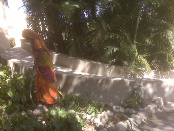 Pensamiento simiente 1 junio 2011: la luz interior