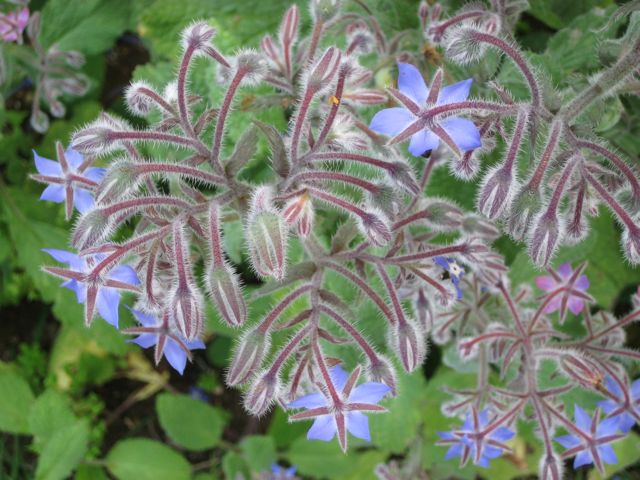 Pensamiento simiente 18 julio 2011: el mundo externo es un reflejo del mundo interno