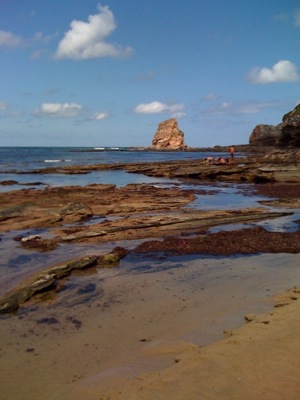 La varita mágica (Aïvanhov)