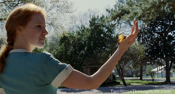 Pensamiento simiente 20 septiembre 2011: la madera muerta