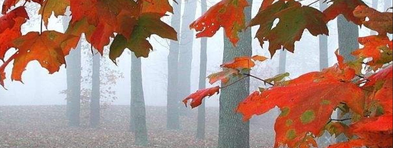 Hacia un relato compartido (Koldo Aldai)