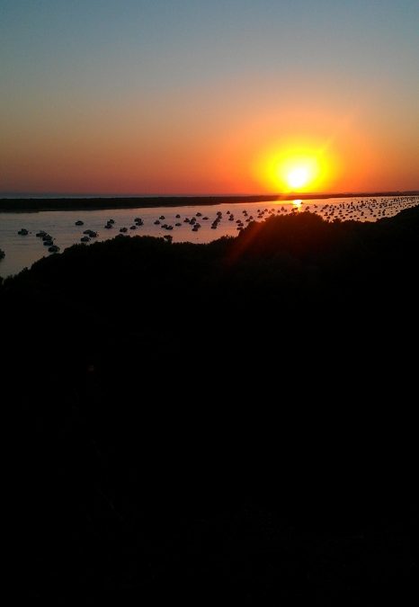 Dios también nos habla hoy