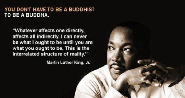 La interdependencia de toda vida