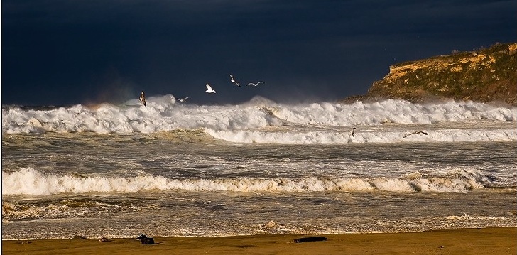 Agradecer, honrar la paz (Koldo Aldai)