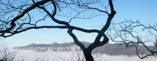 Cercano aleteo, un testimonio (Koldo Aldai)