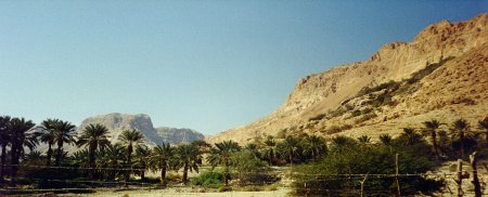 Crónica de Tierra Santa, primera entrega (Koldo Aldai)