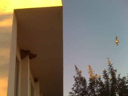 La última cena (Javier León)