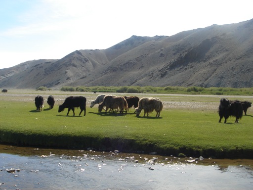 Pensamiento simiente 30 marzo 2012: nuestro espíritu, que viene de arriba
