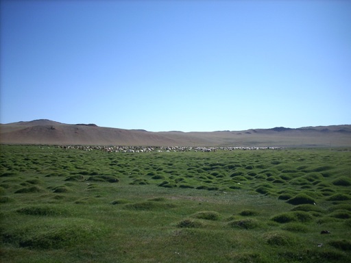 Pensamiento simiente 22 abril 2015: pedir luz, amor, sabiduría