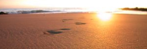 Una vida apasionante (Koldo Aldai)