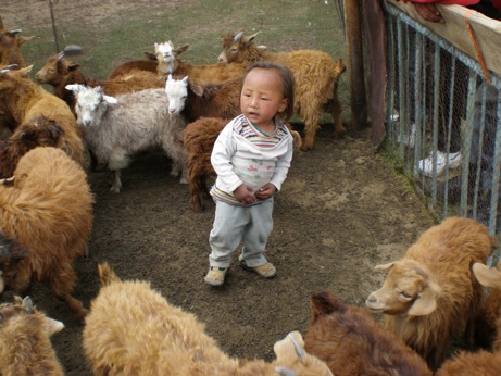 Pensamiento simiente 27 abril 2012: pensamientos de paz y de luz