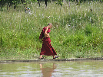 Meditación Plenilunio Capricornio, viernes 2 enero, 19:30 horas