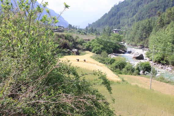 Pensamiento simiente 14 mayo 2012: proyectar rayos de luz y de amor