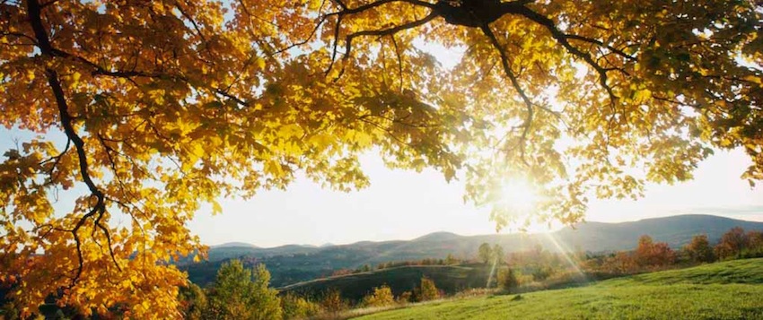 En el medio la virtud (convocatoria de One Calendar)