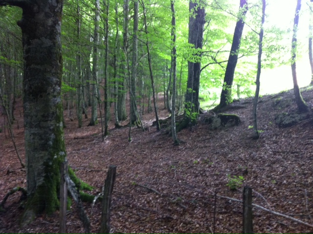 Pensamiento simiente 30 agosto 2012: la reconquista