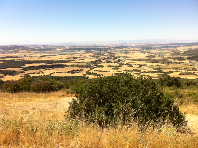 Pensamiento simiente 31 agosto 2012: alimentar la simiente de la divinidad