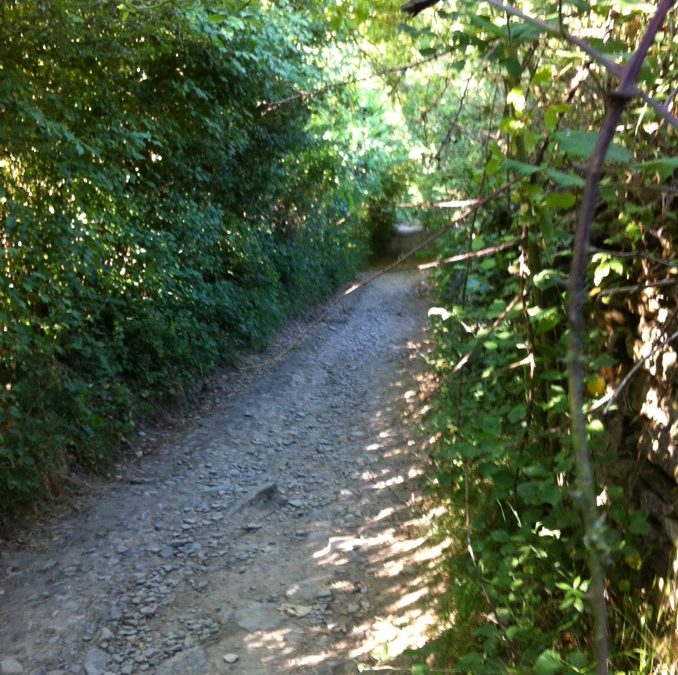 Pensamiento simiente 25 septiembre 2012: la escuela de amor y de sabiduría