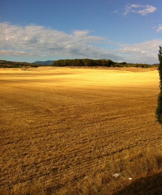 Pensamiento simiente 27 septiembre 2012: la alegría