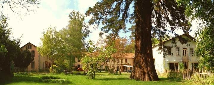 A la búsqueda del grano pedido (Koldo Aldai)