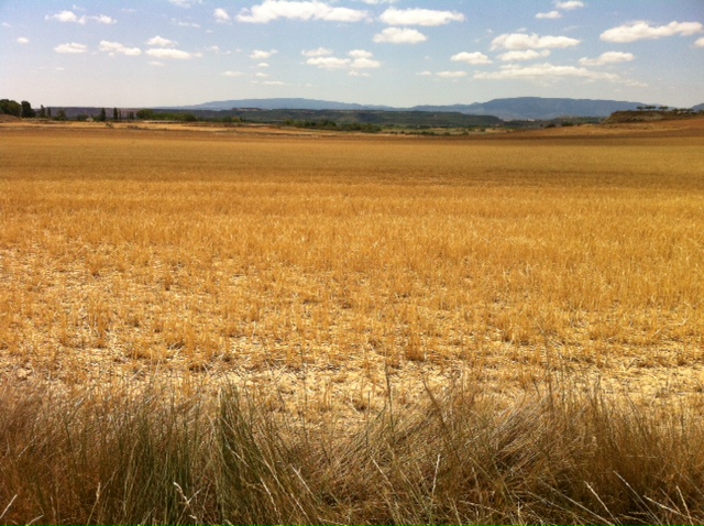 Pensamiento simiente 3 septiembre 2012: purificarnos para purificar el mundo