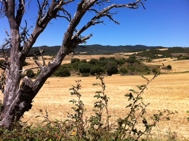 Pensamiento simiente 4 septiembre 2012: la llamada