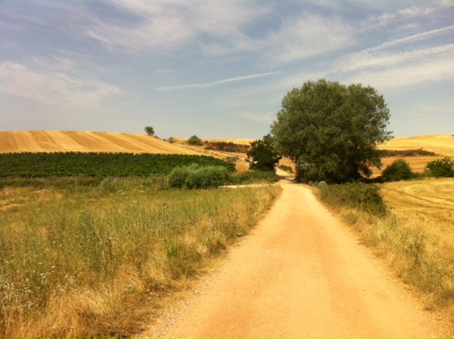 Pensamiento simiente 21 septiembre 2012: que alla donde vaya yo lleve armonía y paz