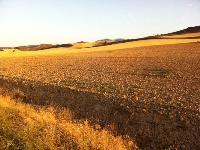 Pensamiento simiente 18 septiembre 2012: el mundo nos habla