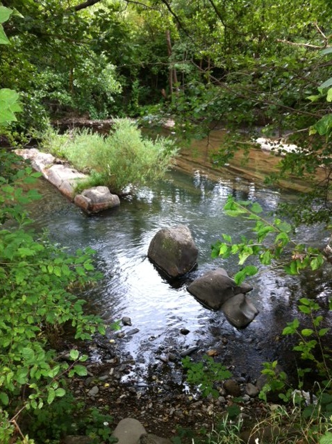 Pensamiento simiente 24 septiembre 2012: la sustancia divina