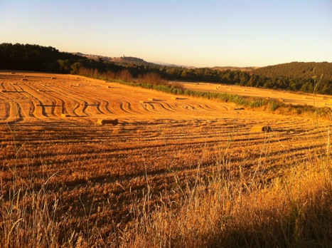 Pensamiento simiente 1 octubre 2012: el esquema inscrito en el alma