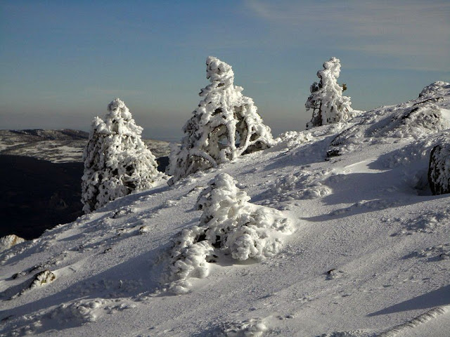 Pensamiento simiente 26 octubre 2012: el camino de las alturas