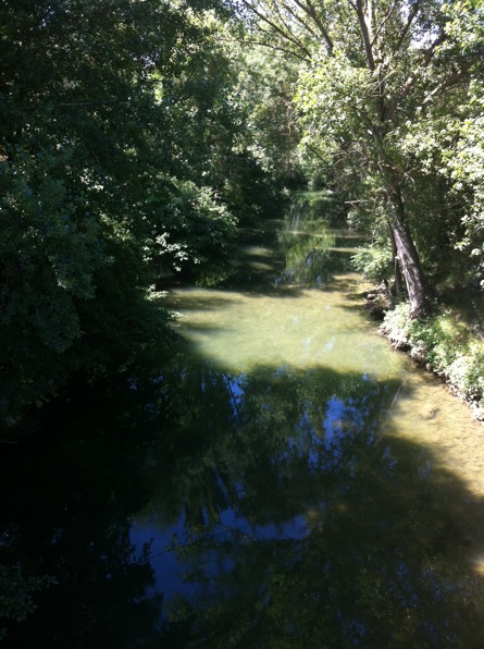 Pensamiento simiente 20 mayo 2013: el agua viva