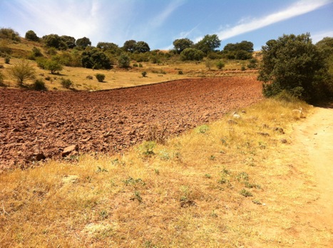 Pensamiento simiente 3 octubre 2012: la gracia